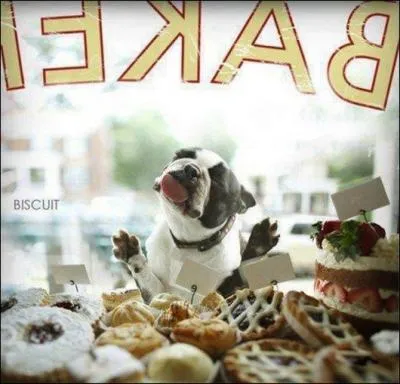 Vous vous prenez pour un film qui fit scandale ?