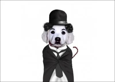 Si vous ne trouvez pas la rponse, vous risquez fort de passer pour un ...