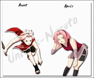 De quoi parle Sakura quand elle se pr�sente dans l'�pisode 01-02 de Naruto Shippuden ?
