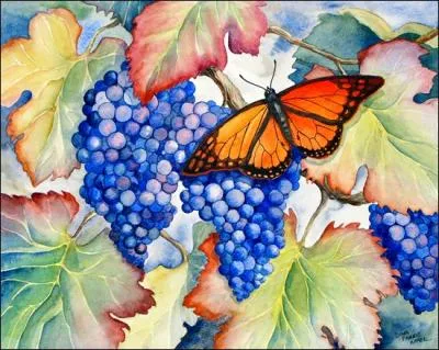 Lumineux, éclatant, gai.