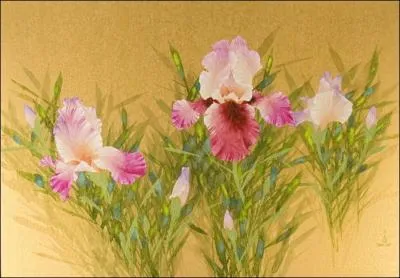 Jolie composition de trois fleurs au port élégant.