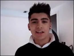 A qui Zayn aimerait-il ressembler ?
