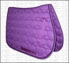 Quel est cet quipement ?