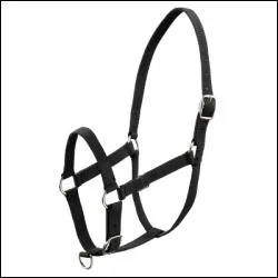 Comment s'appelle cette chose ?