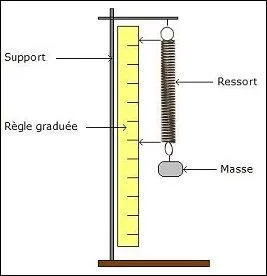 Beaucoup de personnes font la confusion entre la masse d'un corps et son poids. Le poids mesure la force d'attraction qu'exerce un astre sur un corps. Quelle est son unit universelle ?