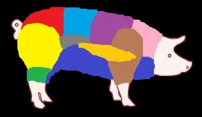 Quelle couleur représente la poitrine ?