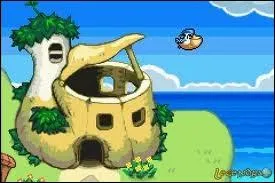 Pour finir, qui est le marchand de cette boutique ?