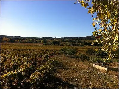 Qui a crit  L'enfant d'octobre  ?