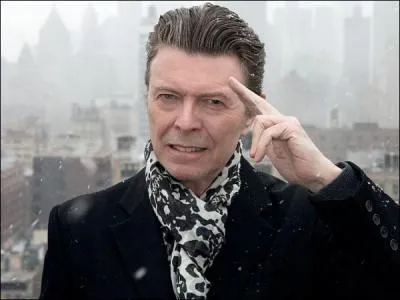 Quelle icne du Pop Art a t interprte par David Bowie dans  Superstar  ?