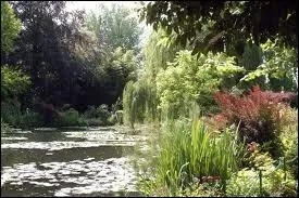 Les États-Unis en connurent une vers l'or au XIXe siècle.