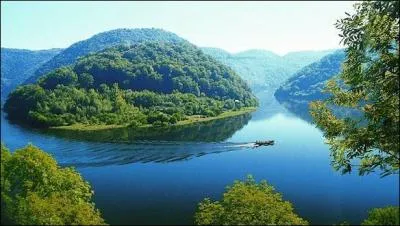 Teinterez d'un brun jaune