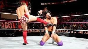 Qui est en rivalit avec Team Hell No ?