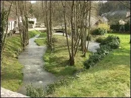 La Morthe est un affluent de la Sane. Elle est donc un sous-affluent ...