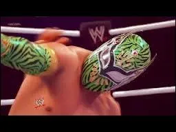 Qui est ce voltigeur ?