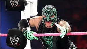 Qui est ce voltigeur ?