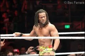 Qui est ce voltigeur ?