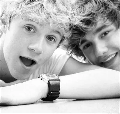 Comment appelle-t-on cette bromance ?