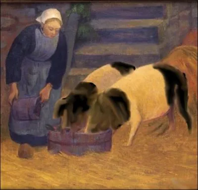 Le  Cul noir  est une race porcine franaise  la viande savoureuse originaire de quelle rgion ?