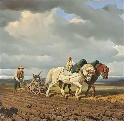 Lequel de ces chevaux de trait franais possde une robe de couleur noire ?
