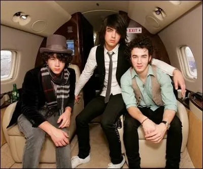 Qui fait une apparition dans la srie  Jonas  ?