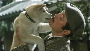Le chien le plus clbre du Japon (1987) :