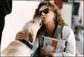  On ne sent pas le c. . !   dit un Jean-Pierre Bacri en forme olympique (1997) :