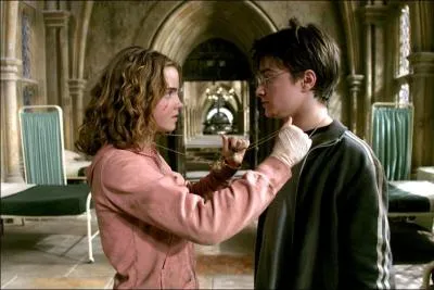 En combien de temps, Harry et Hermione reviennent-ils en arrire avec le Retourneur de Temps ?