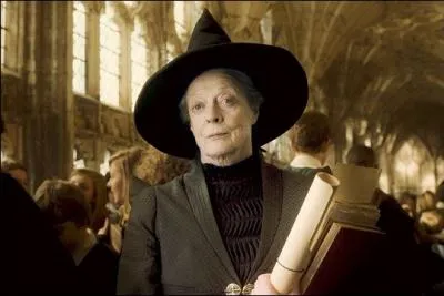 D'aprs le registre du Ministre, combien d'Animagi existent depuis le dbut du sicle ?