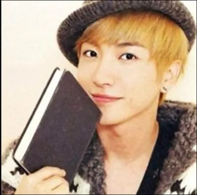 Qu'est-ce qui lui a valu le surnom de  Mr. Dimple  ?