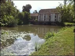 De quel fleuve la Sne Vive est-elle un sous-affluent ?