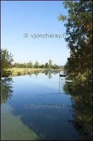 L'Acheneau, rivire de Loire-Atlantique ( 44 ), est un affluent ...