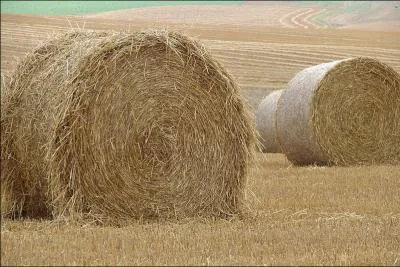 Quand on eut pass la ferraille Elle nous fit fumer de sa paille