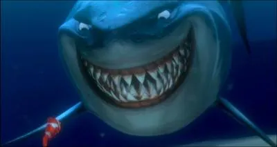 Monde de Nemo - Quel est ce requin qui essaye  tout prix d'arrter de manger des poissons ses amis et non son festin ?
