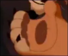 A qui appartient cette patte ?