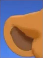 A qui appartient cette oreille ?