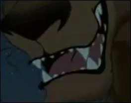 A qui appartient cette mchoire ?