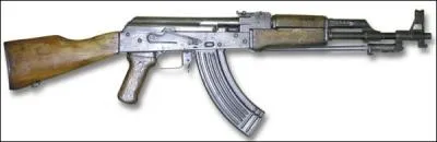 Quel est le nom de cette arme ?