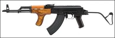 Quel est le nom de cette arme ?