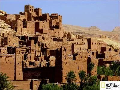 Pr&eacute;fixe d'origine grecque signifiant ''grand'' .