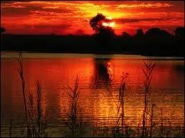 Relatif � des protozoaires