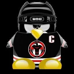 A quel jeu vido fait rfrence ce tux ?