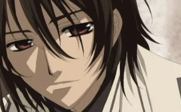 Quiz Vampire knight