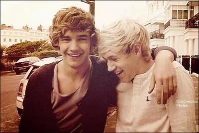 Pour Niall+Liam on dit ...
