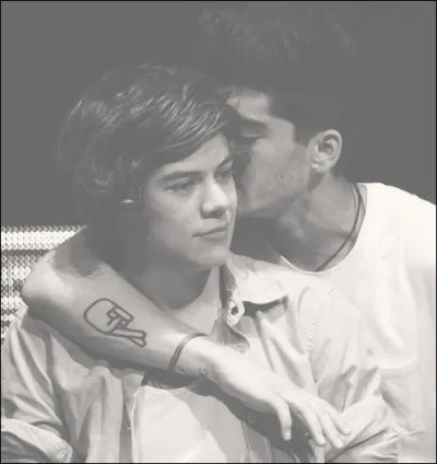 Pour Zayn+Harry on dit ...
