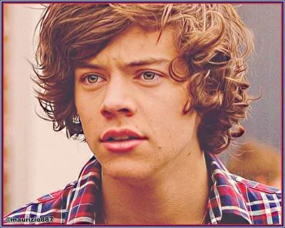 Si Harry devait changer quelque chose chez lui se serait ...