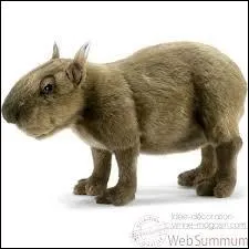 Quel animal cette peluche est-elle ?