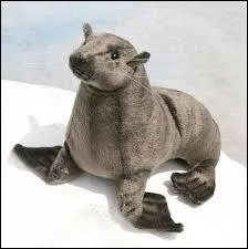 Quel animal cette peluche est-elle ?