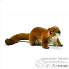 Quel animal cette peluche est-elle ?
