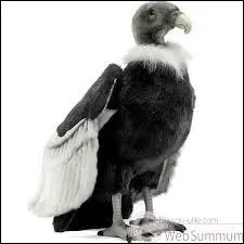 Quel animal cette peluche est-elle ?