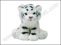 Quel animal cette peluche est-elle ?